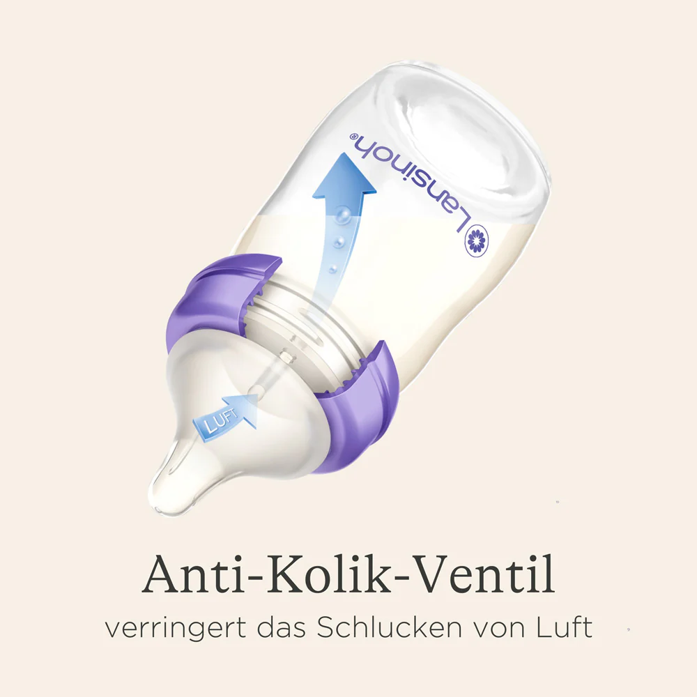 Vorschaubild 5