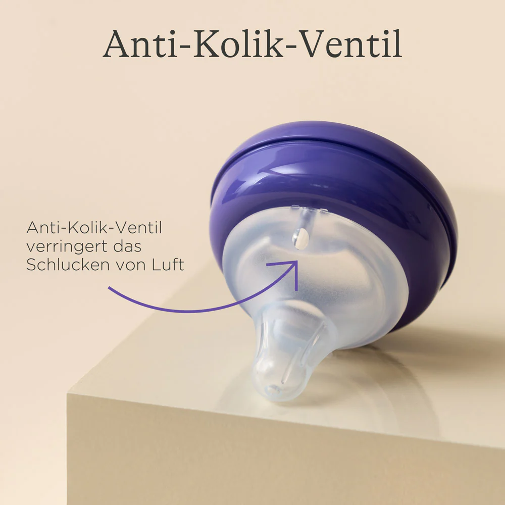 Vorschaubild 6