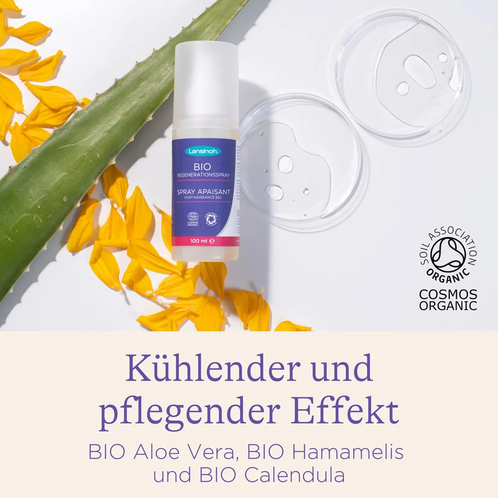 Vorschaubild 7