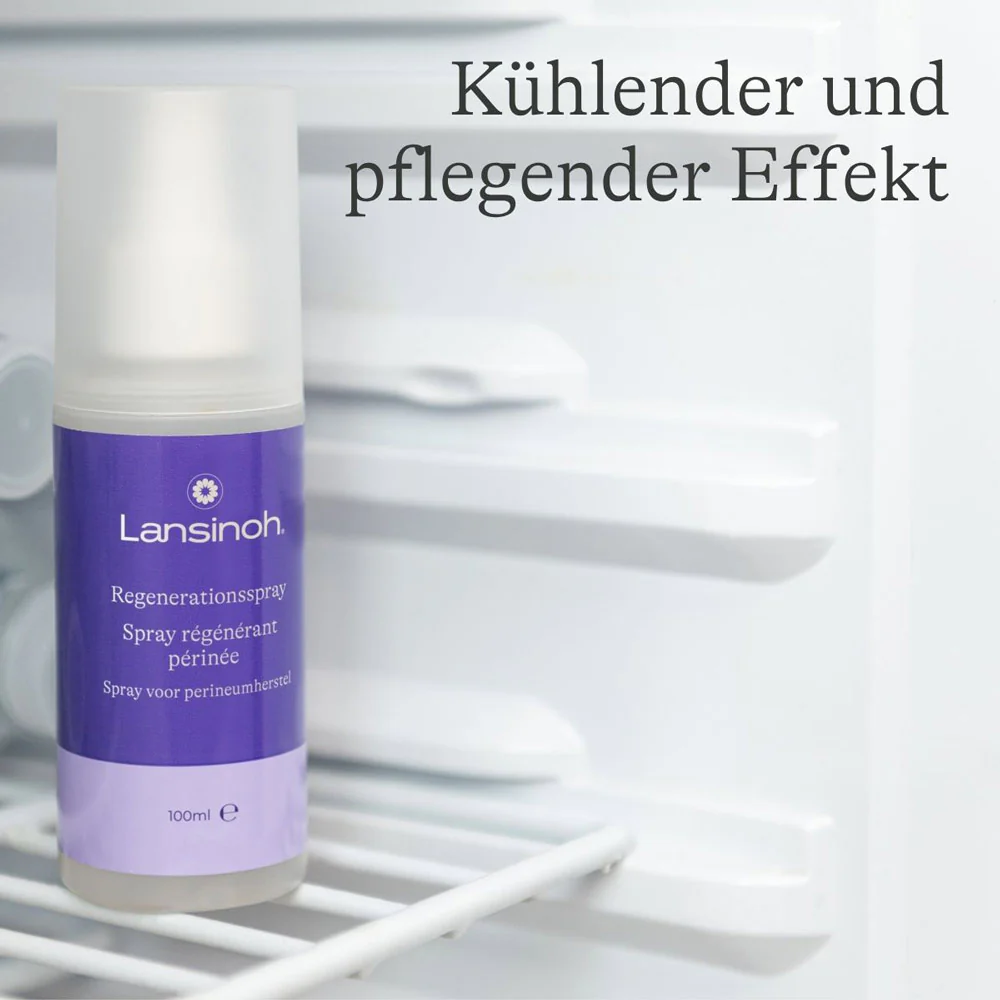 Vorschaubild 4